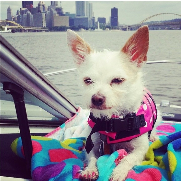 Meet your Posher, Corinna 💋🦉🌻🍍 - Picture 6 of 6